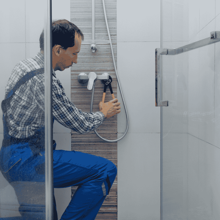 Minimum Standards Auditor